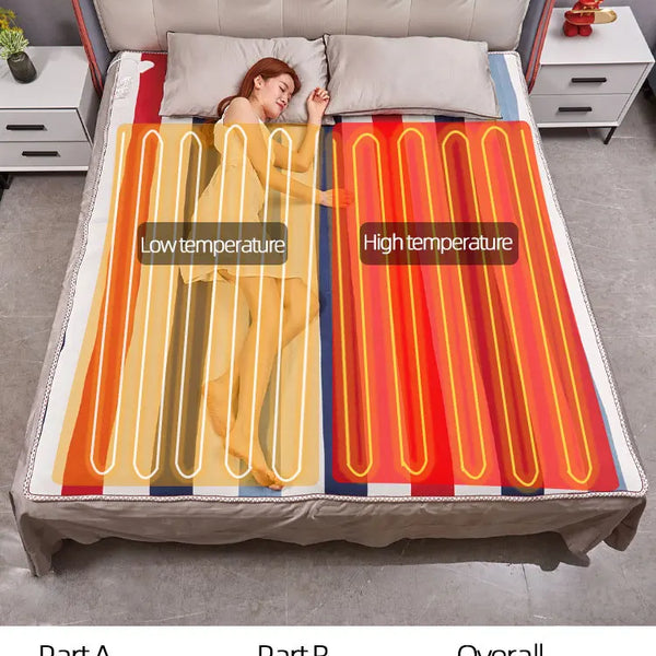 Electric Blanket 110-220V Heater Manta Electrica Smart Control Heated Blanket Winter Electric Heating Blanket Carpet Heated Mat